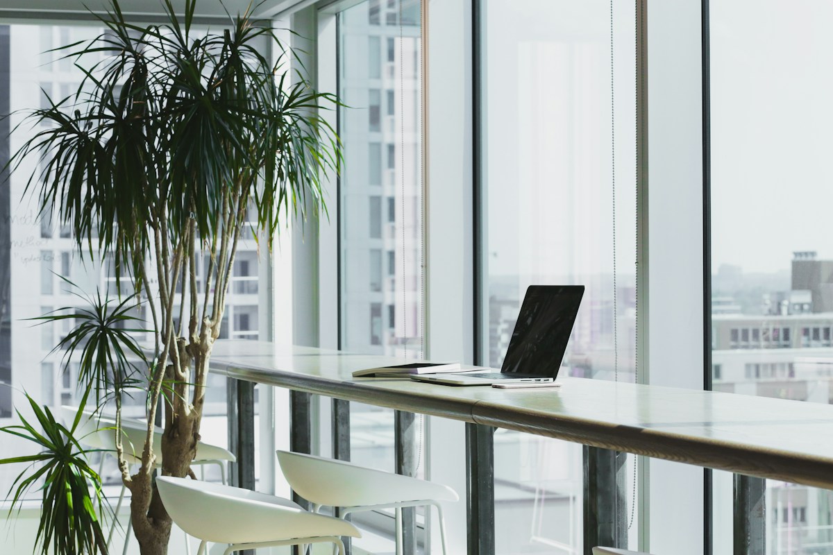 A laptop on a wooden desk beside tall windows and an indoor plant
